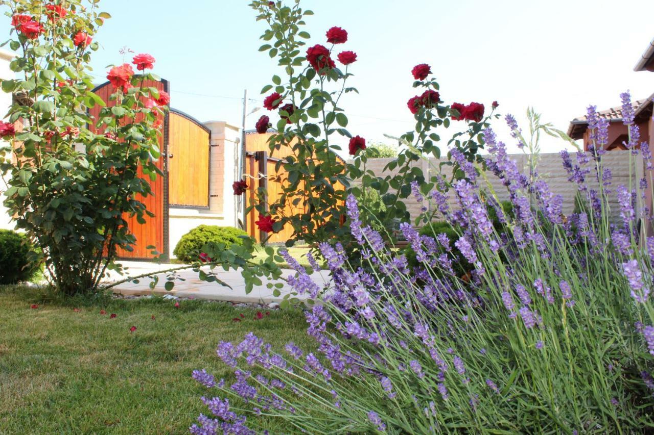 Sia & Sophie 'S House Villa Santandrei Exterior photo